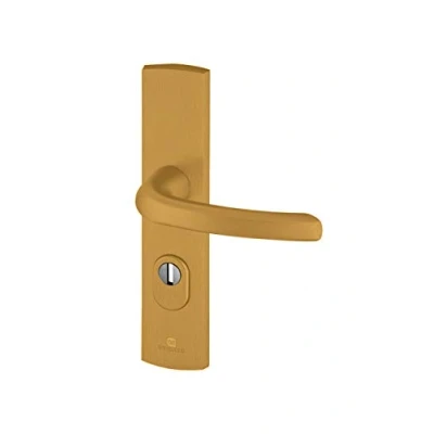 Image de Bricard 9920131 Ensemble de Poignées Blindées sur Plaque EMUST Béquille pour Porte d’Entrée (pour Cylindre Européen), Coloris Or