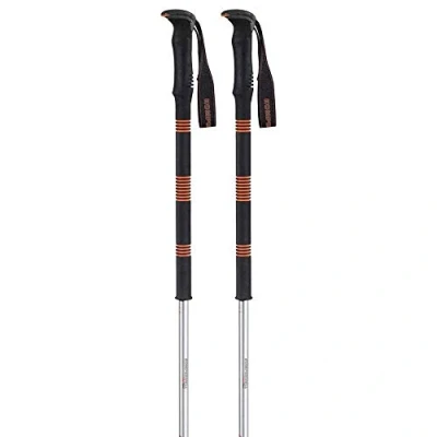 Image de Komperdell Contour Titanal 2 Foam bâtons de Ski, Argent