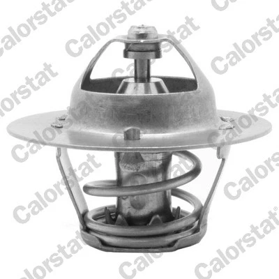 Image de Thermostat d&#039;eau CALORSTAT by Vernet TH5971.88J
