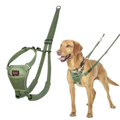 Image de Harnais Anti Traction HALTI pour Que Votre Chien arrête de Tirer sur sa Laisse, Sangle poitrail et des Pattes Avant rembourrée, Chiens Taille Moyenne (Taille M, Vert Forêt)