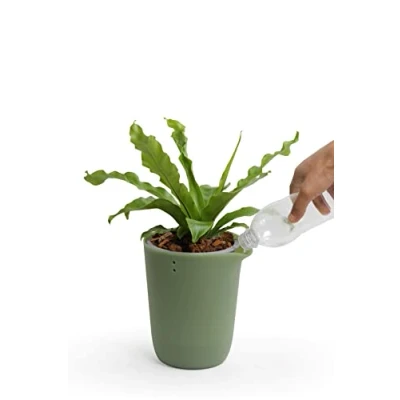 Image de QUALY Oasis QL10307 GN GY Pot de Fleurs Rond avec système d&#039;auto Irrigation Vert Taille S