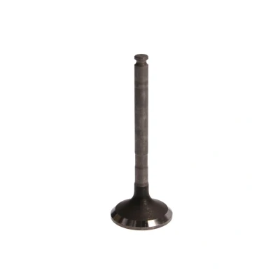 Image de FRECCIA R6120/RNT soupape d&#039;Échappement 32,5 Tige de nitrurée ROVER: 25 3/5 portes