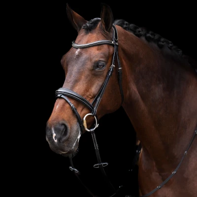 Image de HV Polo Bride Legacy Noir Poney