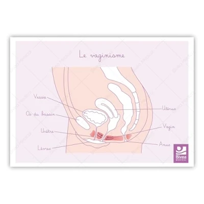 Image de Bivea Schéma anatomique Vaginisme