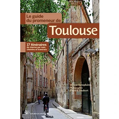 Image de Le guide du promeneur de Toulouse Livre d’occasion Bon