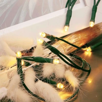 Image de Hellum LED mini chaîne de lumière à l&#039;intérieur, 20 lumières, 285cm longueur allumée, puissance avec fiche, câble vert, Comme arbre Noël 577549