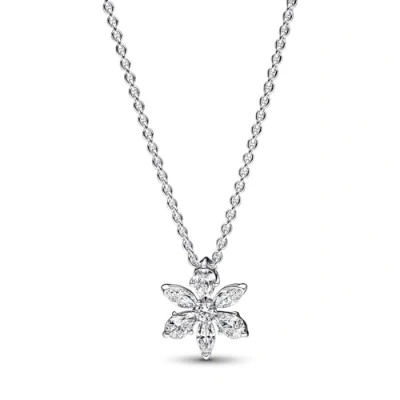 Image de Pandora Timeless Femmes Collier Argent 392387C01 45