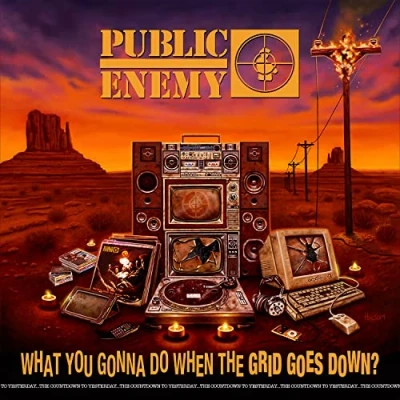 Image de What You Gonna Do When The Grid Goes Down