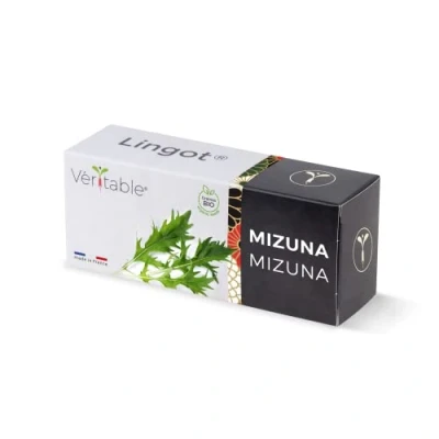 Image de Véritable Lingot® Mizuna Bio Compatible Potager d&#039;Intérieur et Exky® Recharge prête à l&#039;emploi Substrat avec Graines Intégrées