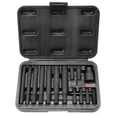Image de KS TOOLS 911.4306 Coffret de 14 embouts à chocs RIBE, 5/16&#039;&#039;
