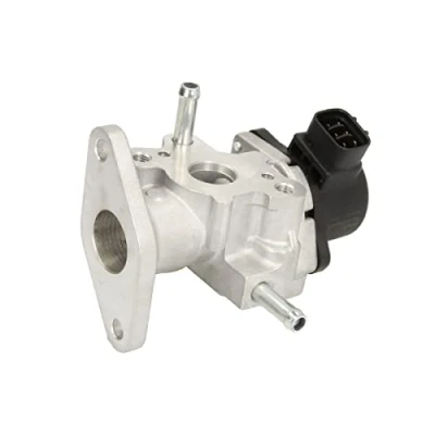 Image de Vanne EGR DELPHI EG10483 12B1