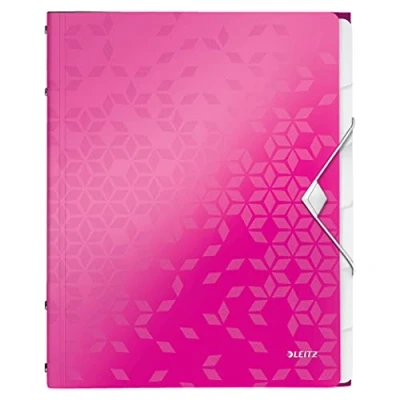 Image de LEITZ Trieur 6 Touches WOW Rose