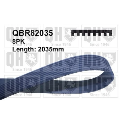 Image de QUINTON HAZELL QBR82035 Courroie Poly V 2035 8 MERCEDES BENZ: Classe ML, R, S Berline