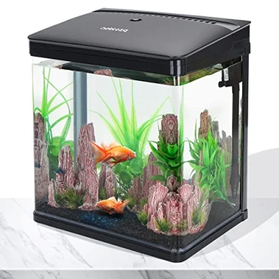 Image de Nobleza Aquarium en Verre avec Couvercle et lumières LED, Complet Bocal Poisson, Système de Filtration 14 litres. Couleur Noir.