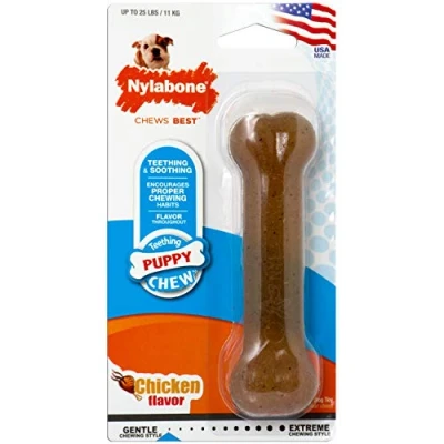 Image de Jouet pour chien Nylabone Taille S Poulet Thermoplastique Chiots TU transparent