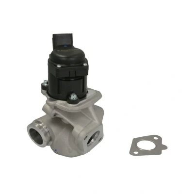 Image de WAHLER 710929D/1 Vanne EGR électrique avec joints PEUGEOT: 207 3/5 portes, 206 SW, CITROËN: C3 II, I C2 portes