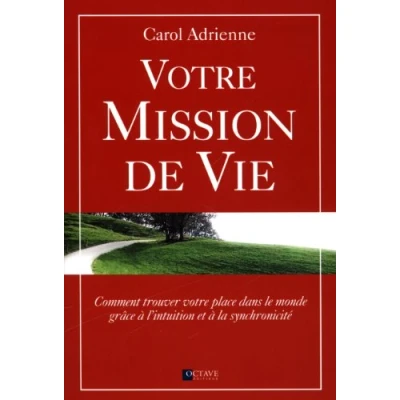 Image de Votre mission de vie Livre d’occasion Correct