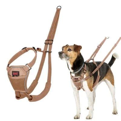 Image de Harnais Anti Traction HALTI pour Que Votre Chien arrête de Tirer sur sa Laisse, Sangle poitrail et des Pattes Avant rembourrée, Petits Chiens (Taille S, Sable du Désert)
