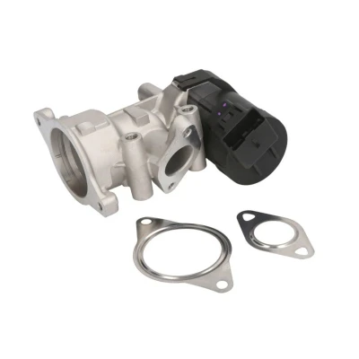 Image de NGK 93608 Vanne EGR électrique avec joints PEUGEOT: Expert II Van, 308 I 3/5 portes, 307 CITROËN: C4 Picasso 1, Jumpy Van
