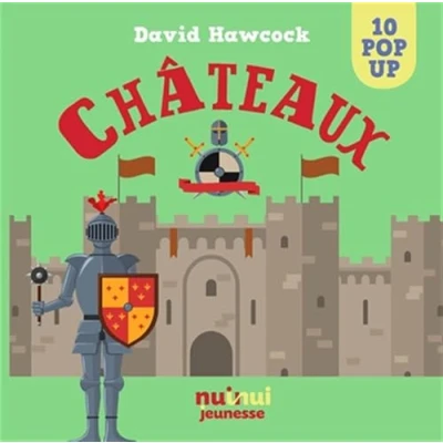 Image de CHATEAUX Livre d’occasion Très bon