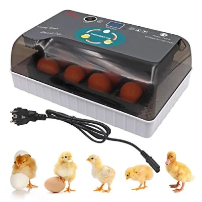 Image de Svauoumu Couveuse à Oeufs Pour Volailles, Automatique Avec ContrôLe de La TempéRature et Affichage L&#039;Humidité Poussins, Canards, Oies Cailles