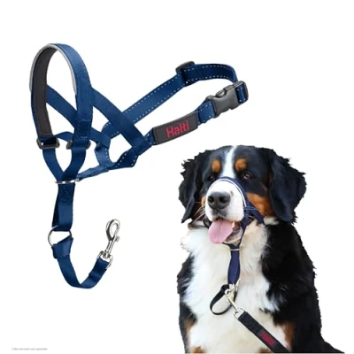 Image de Licol HALTI pour Que Votre Chien arrête de Tirer sur sa Laisse, Facile à Enfiler, Partie entièrement matelassée Le museau, Colliers Anti Traction Grands Chiens (Taille 4, Bleu Cobalt)