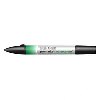 Image de Winsor &amp; Newton Promarker Watercolour™ 311 Vert de Hooker