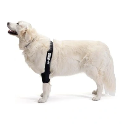 Image de Ortocanis Coudière Chien Souffrant de Lésions ou d’Usure du Cartilage Coude Patte Droite Taille M