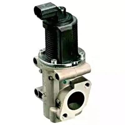 Image de DELPHI EG10301 12B1 Vanne EGR avec joints FIAT: Doblo I Cargo, Break, Punto II 3/5 portes, LANCIA: Musa