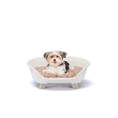 Image de Ferplast Panier Chien, Chat avec Coussin en Coton, Lit sureleve pour Chien Plastique Recyclé, Corbeille Chat, Respirant Antidérapant, Throne 61,5 x 45 h 26 cm, Blanc