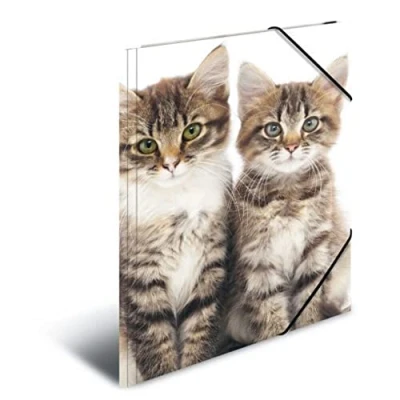 Image de HERMA Chemises à élastique Animaux Chats A4, Polypropylène, avec impression intérieure, chemise plastique rabat
