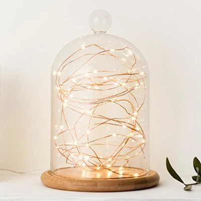 Image de Fil de cuivre Micro Guirlande lumineuse 50 LED Blanc Chaud Piles avec Minuterie Lights4fun Parent, 2 Stk