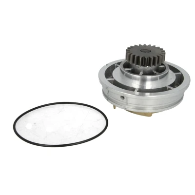 Image de THERMOTEC WP RV105 Pompe à eau
