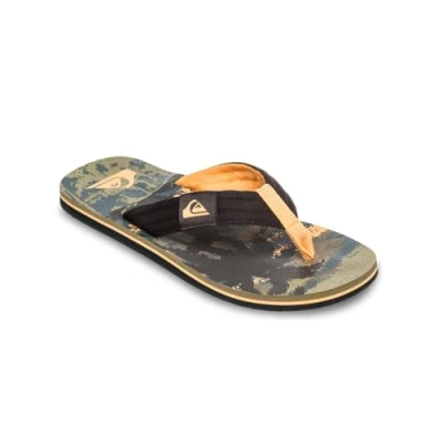Image de Quiksilver Molokai Layback Tongs, Homme, Taille: 40, Grape leaf tropicamo Coton