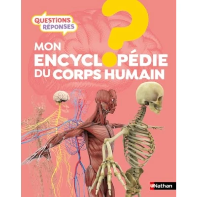 Image de L&#039;Encyclopédie du corps humain Questions/réponses Dès 7 ans Livre d’occasion Correct