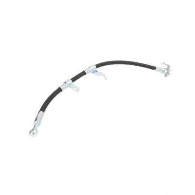 Image de DELPHI LH7396 Flexible De Frein 490 Banjo