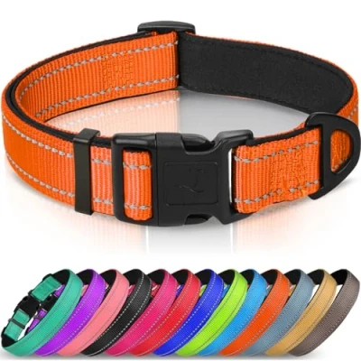 Image de Joytale Collier pour Chien en Nylon avec Bande Réfléchissante,Collier Rembourré Classique Moyenne Chien,Orange,M