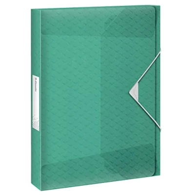 Image de Esselte Boîte de Classement A4, Capacité 350 Feuilles, Dos 40 mm, Pochette Rangement Translucide pour Documents, Maison / Bureau, Motif Texturé, Gamme Colour&#039;Breeze, Vert, 626265