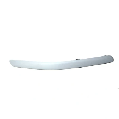 Image de Baguette décorative/de protection, pare chocs BLIC 5703 05 8161922P Droite