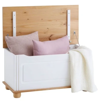 Image de IDIMEX Coffre de Rangement Bristol Banc avec abattant en pin Massif lasuré Blanc