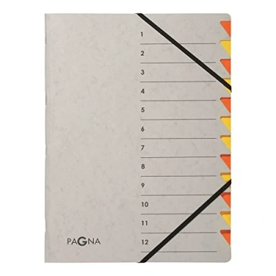 Image de Pagna Easy Grey 44312 10 Trieur à 12 compartiments Violet