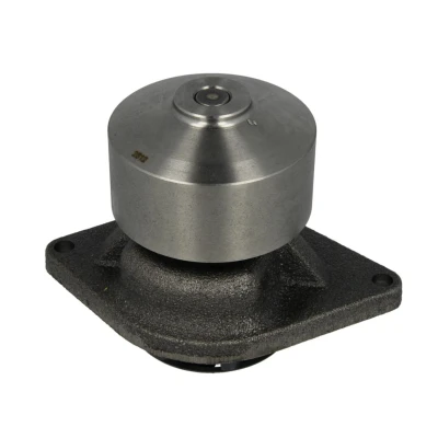 Image de DOLZ L214 Pompe à eau 42,5