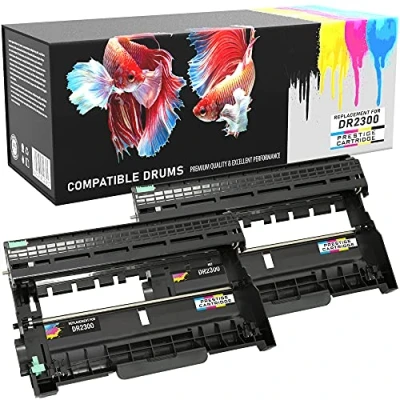Image de 2X Kit Tambour DR2300 Compatible pour Brother Imprimante Laser HL L2300D L2340DW L2360DN L2365DW DCP L2500D L2520DW L2540DN L2560DW MFC L2700DW L2720DW L2740DW