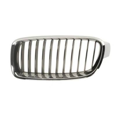 Image de Grille de radiateur BLIC 6502 07 0063991P Gauche