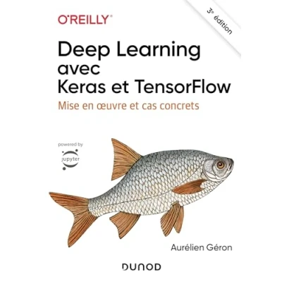Image de Deep Learning avec Keras et TensorFlow 3e éd.: Mise en oeuvre cas concrets