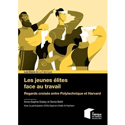 Image de Les jeunes élites face au travail: Regards croisés entre Polytechnique et Harvard Livre d’occasion Correct