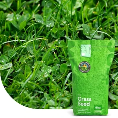 Image de Clover Lawn Semences De Gazon Avec Micro Trèfle 1 Kg 50 M² MRS Seeds &amp; Mixtures