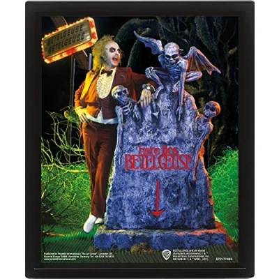 Image de Pyramid International Beetlejuice Poster lenticulaire 3D (design cimetière) 25 cm x 20 1,3 encadré art mural et image dans cadre photo Produit officiel