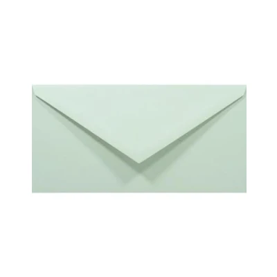 Image de Netuno 100 enveloppes longues vert pastel DL 110x220mm Rainbow 80g rabat pointu collage humide colorées décoratives pour invitations mariage Noël cartes de voeux anniversaire