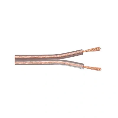 Image de Goobay 67719 Câble de haut parleur, 10 m transparent